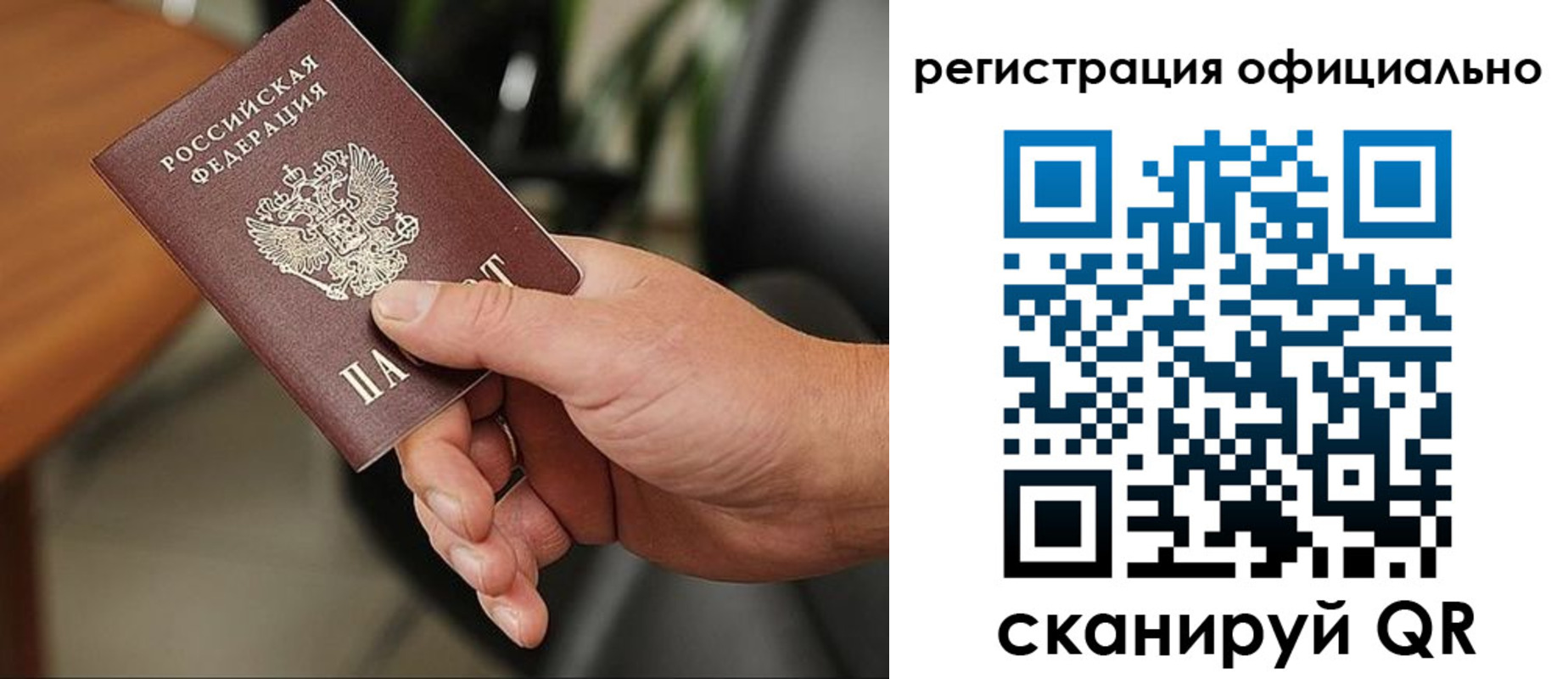 прописка для школы в Курске
